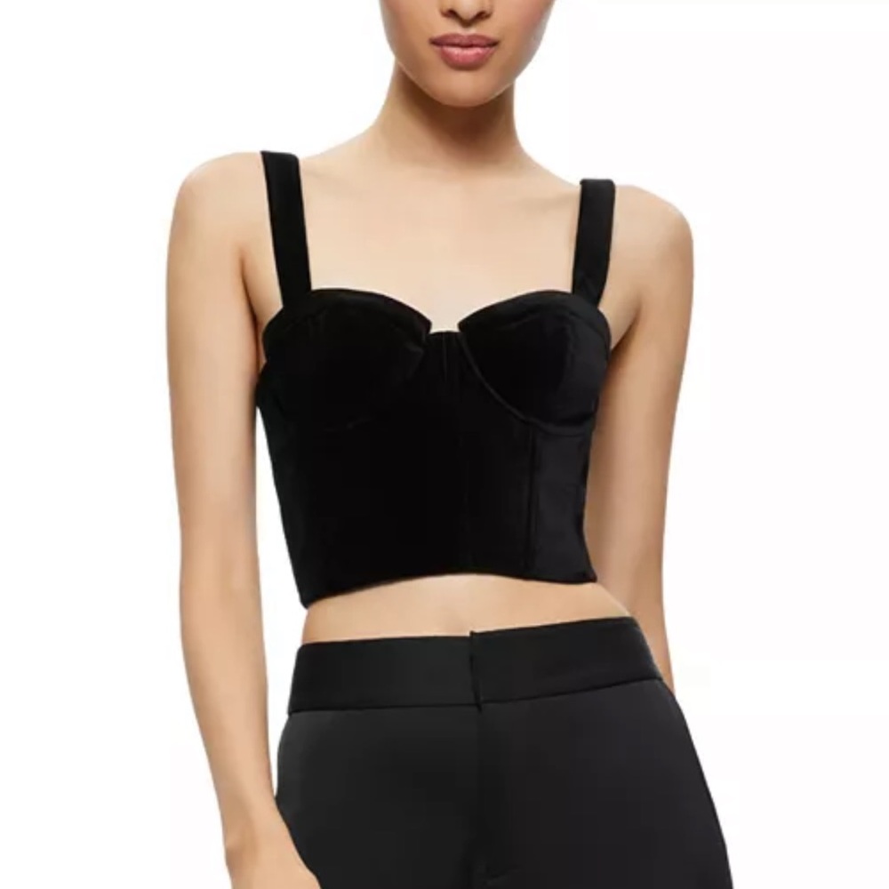 Alice + Olivia Jeanna Crop Square Neck Velvet Corset Bustier Top Size 10 NWOT